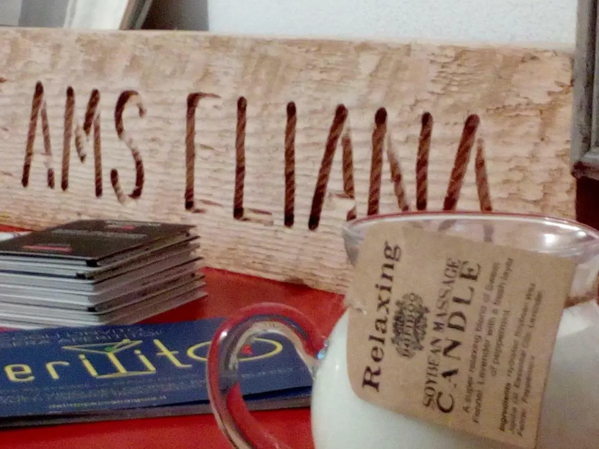 فندق مبيت وإفطار فلورنس B & B Eliana E Ristorante